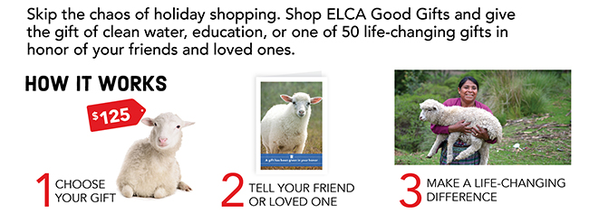 Skip the chaos of holiday shopping. Shop ELCA Good Gifts and give the gift of clean water, education, or one of 50 life-changing gifts in honor of your friends and loved ones.HOW IT WORKS1. Choose Your Gift2. Tell Your Friend or Loved One3. Make a Life-Changing Differene