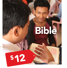 Bible $12