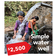 SImple Water Well $2,500