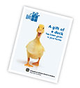 Good Gifts card